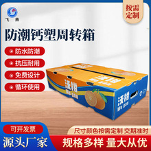 PE钙塑箱沃柑砂糖桔橙子周转箱防潮中转运输箱水果蔬菜包装箱