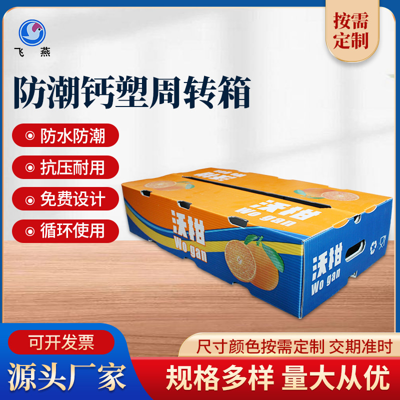 PE钙塑箱沃柑砂糖桔橙子周转箱防潮中转运输箱水果蔬菜包装箱