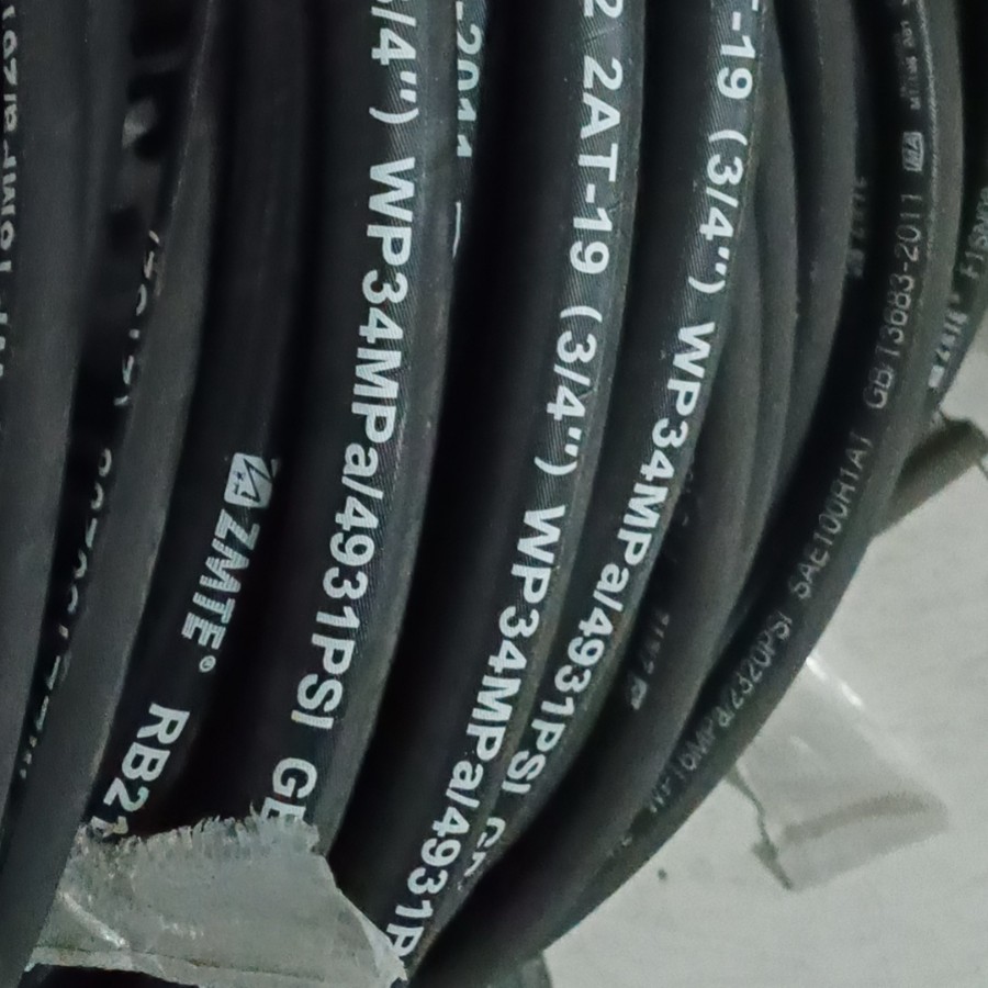 2024-11-25 15:46:55.jpg