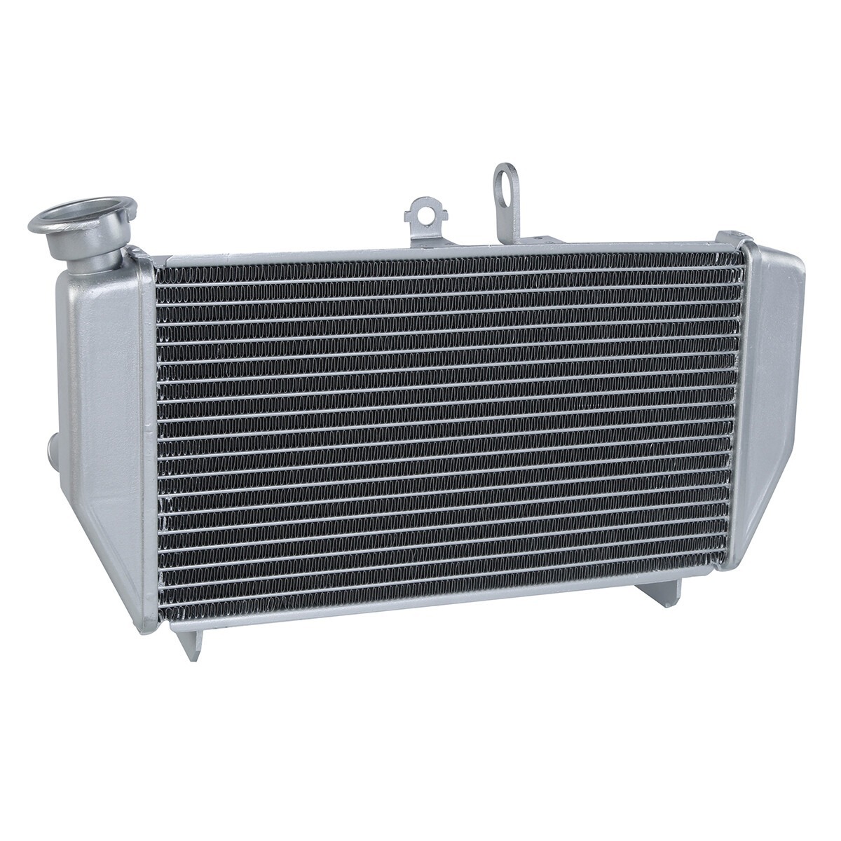 Suitable for Yamaha YZF R3 2015-2025 Water Tank Assembly Water Tank Radiator