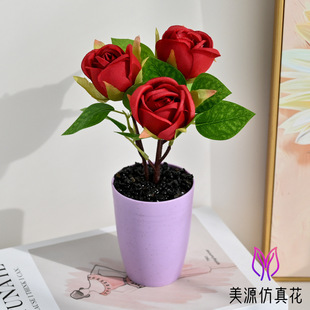 ��Ʒ���滨���^�@õ��С�辰�����ٻ��͏d�����b�Ʒ�[���������b