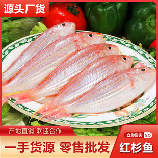 ��ួ��~�tɼ�~�����r��ˮ�a���l���~����t���~�a��ֱ�]