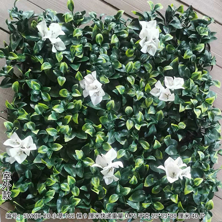 SWKJX-20 Ngoài Trời (50*50)