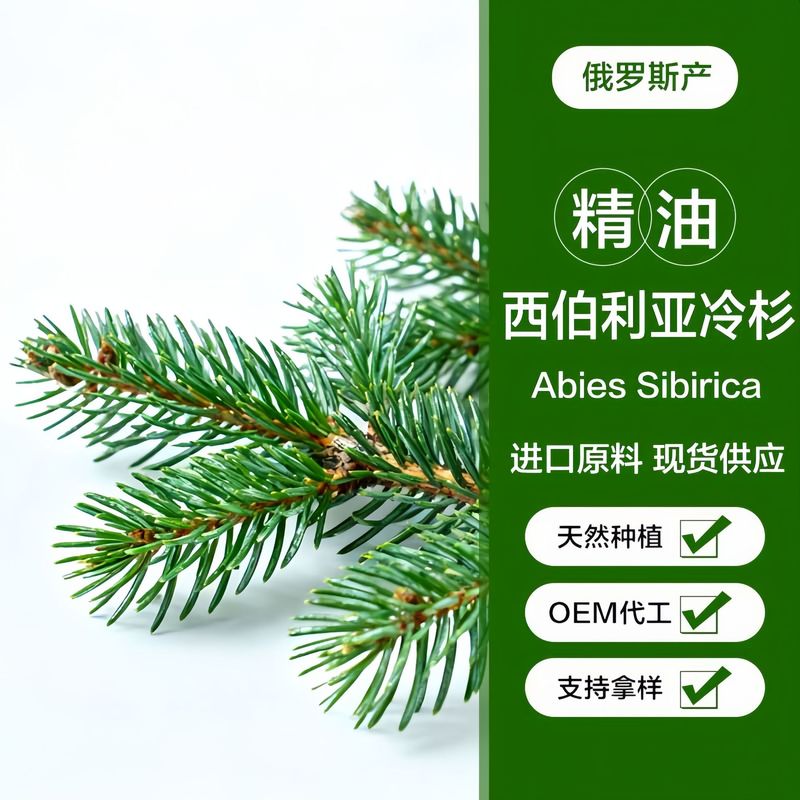 Organic Siberian Spruce Essential Oil from Russian Production Areas, Essential Oil for Massage, Raw Material for Industrial Sampling and Use
