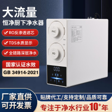 定制净水器家用直饮净饮机厨下式自来水过滤RO反渗透净水器箱体式