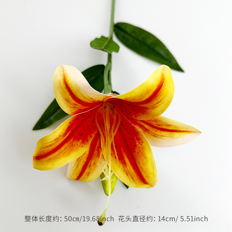 주황색