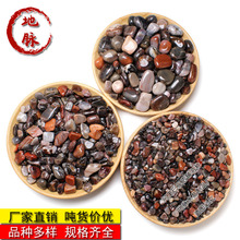 �羳���N��Ȼľ��ʯ��ʯ��ͯ�ԵV�����ھ�Vʯ�̌W�V��