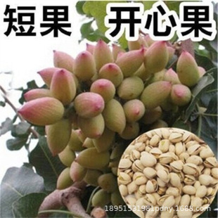 �����_�Ĺ������Ե����ϱ����Nֲ���¾G�ʘ��箔��Y���_�Ĺ�����