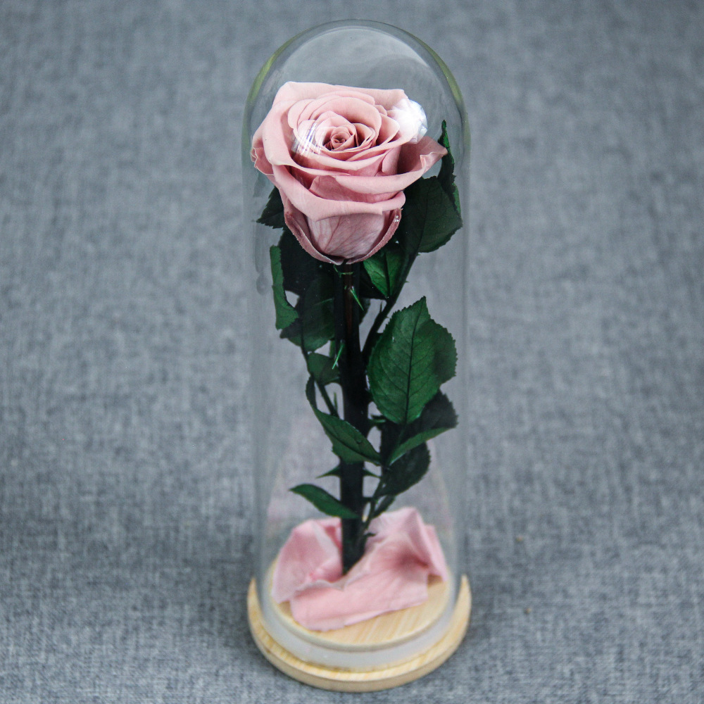 Flor inmortal Little Prince Star Sea Watchman una sola rama de rosa cubierta de vidrio Amazon Día de San Valentín Regalo del Día de la Madre