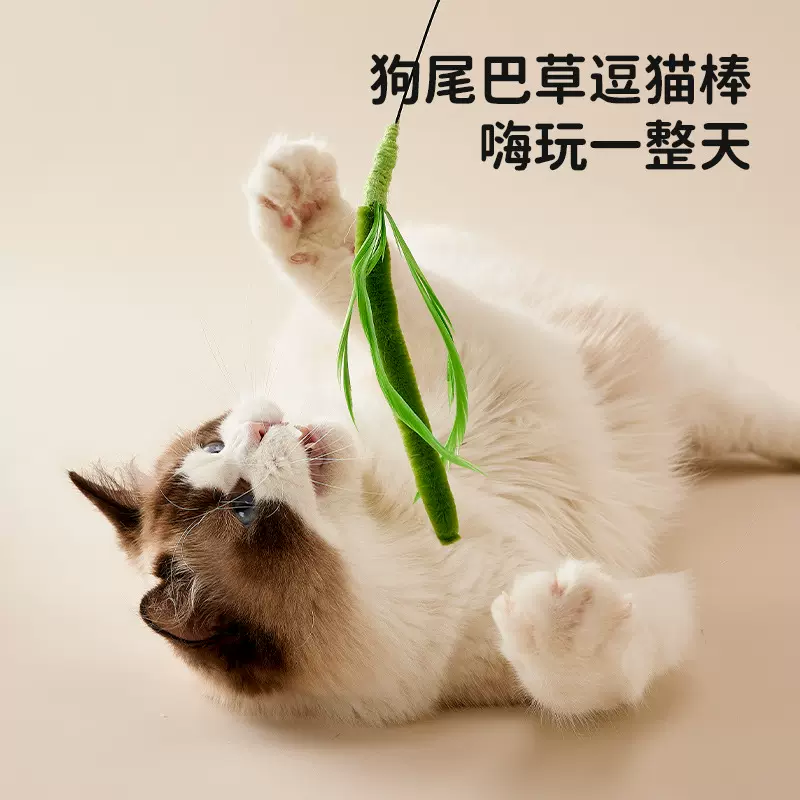 新款猫玩具创意狗尾巴草逗猫棒猫咪自嗨长杆钓猫棒亚马逊现货批发