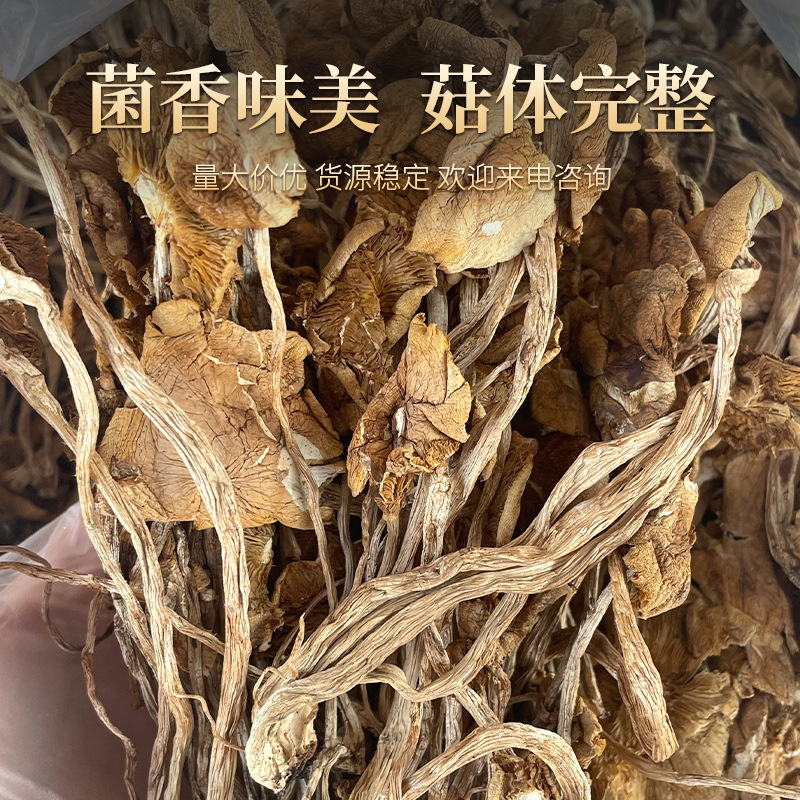 New arrival shiitake mushroom dry goods, not open, 500g, Guantung shiitake mushroom, edible dried mushroom, food ingredient, mushroom
