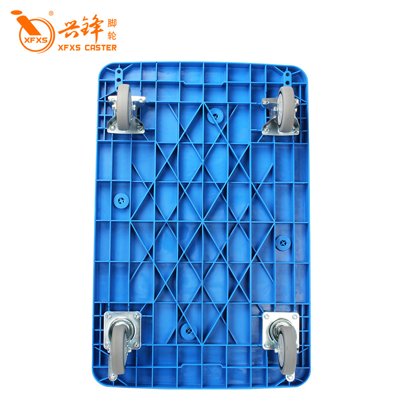 蓝色B版主图800-3