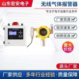 气体检测仪;其他气体分析;氧气检测仪