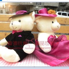 ��}̎����c�������޻�Y���пɐ�ë�q���ϵ������