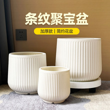 塑料花盆轻奢感发财树盆景虎皮兰蝴蝶兰室内大型绿植盆丨