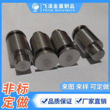 ���P䓹��S �����S �S�~���� 2024�X�Ͻ����� �����D�S �����y�N