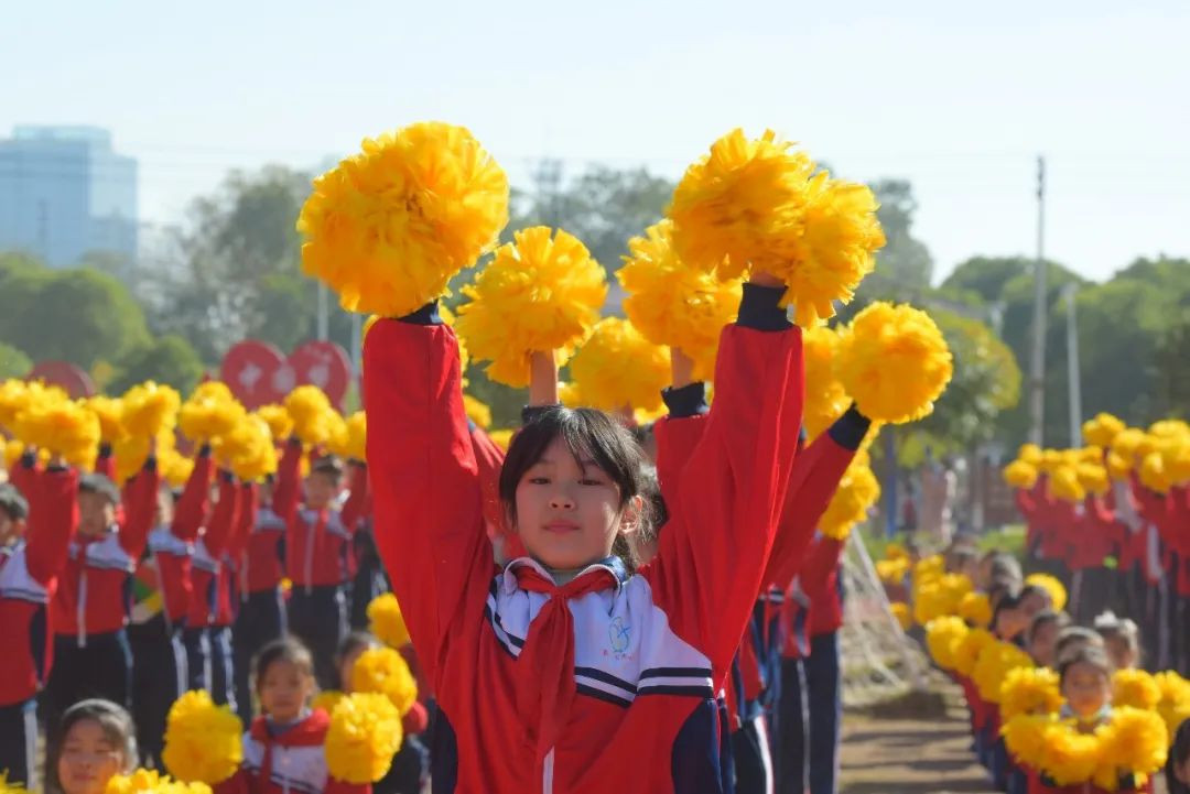 弋阳县湾里红标啦啦花厂