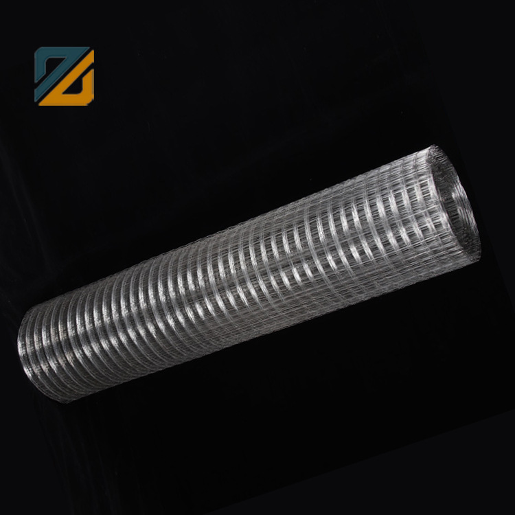 厂家现货供应镀锌铁丝网热镀锌养殖网抹墙铁丝网铁网