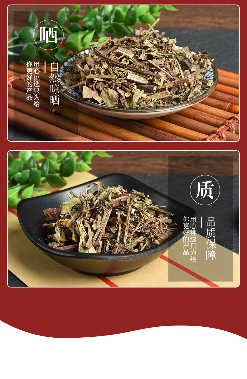 Shi Jian Chuan (Salvia chinensis) — Dried Chinese Herb, Unsulfured, 500g quality and texture
