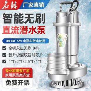 Brushless Dc Pump 48V60V72V Battery Car Water Pump Agricultural Irrigation Household Flower Watering Large Flow Submersible Pump