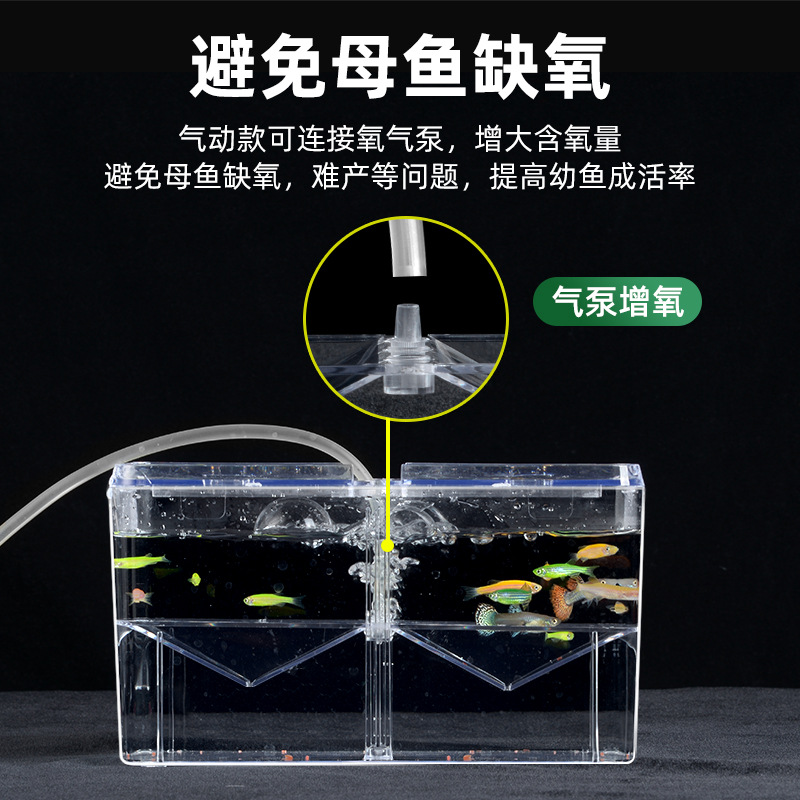 Incubación de cría de aislamiento de incubadora de caja Douyu multifuncional tres en uno con oxígeno que aumenta la boca tanque de peces pequeños de alta permeabilidad