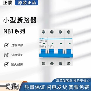 Chint Small Circuit Breaker Nb1-63 Series Switch Three-Phase Household 1P2P3P4P Air Switch C63