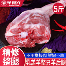 羊肉新鲜羊后腿肉整只羔羊肉5斤羊排烤羊腿烧烤食材烤肉串滩羊肉