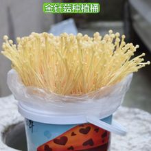 ]DIYƽNֲĢͰʳþͥ҃Ⱦ