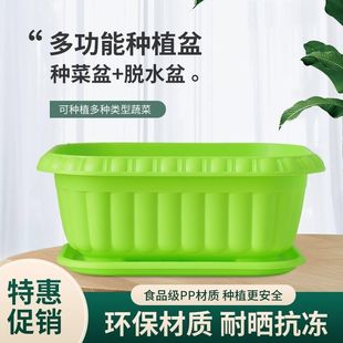 種菜盆加厚種植盆栽家庭陽台花盆種菜蔥種紅蔥頭蔬菜苗塑裕康