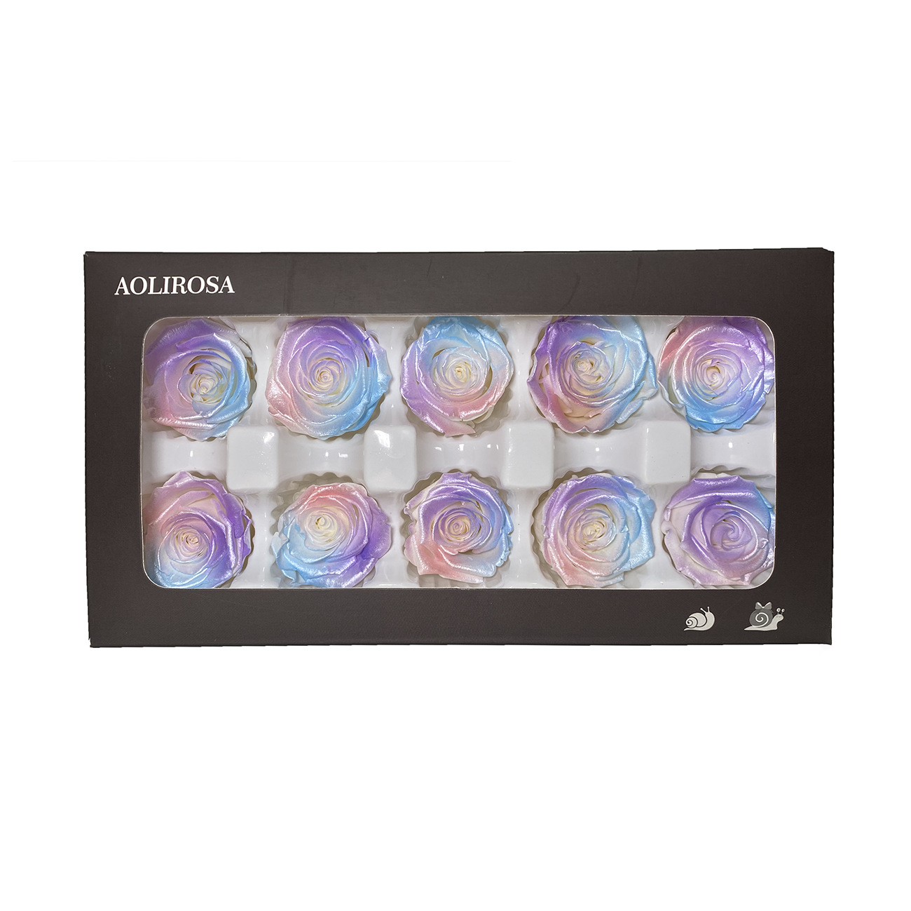 Rosa degradada eterna A+ con efecto degradado de color azul hielo, rosa seca triturada, flor preservada, fabricante de Yunnan, venta al por mayor.