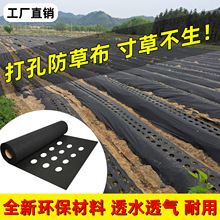 果园果树打孔防草布除草布家直销绿黑地布渗水地膜抗老化遮草布