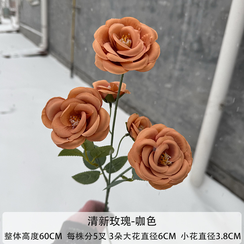 다크 브라운