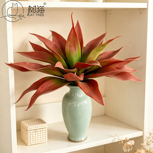 �S�����l�ش�̖���������mɳ��ֲ����쾰�b���Gֲ���^����
