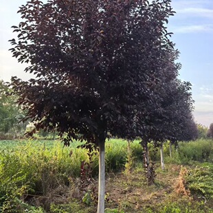 ���~�����е���2-18������@�������~������������~����С��