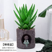 芦荟盆栽室内净化空气植物办公桌防辐射多肉四季好养花卉