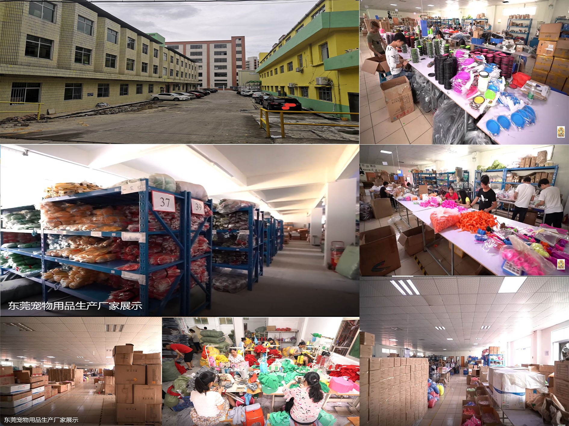 12035062610_1434082050