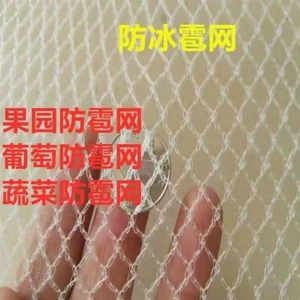 [西藏防雹网果园防鸟网贵州农用防雹网冰雹网葡萄防冰雹网防雪网]