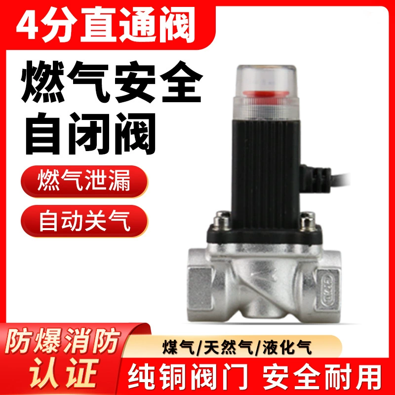 Газовый автоматический запорный клапан Сигнализация обнаружения горючего газа Промышленный коммерческий газопровод аварийный электромагнитный клапан