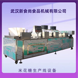 休闲食品加工;调味品加工;多功能包装机