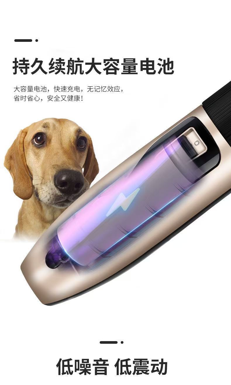 1c5dd891-4f9f-4e7b-be7a-820ef2bea3cf.jpe