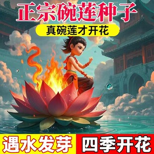 �ļ��׻�ֲ��ˮ����ɏ�N����˯ɏ�ɻ��_���߲������_������ɏ�N��