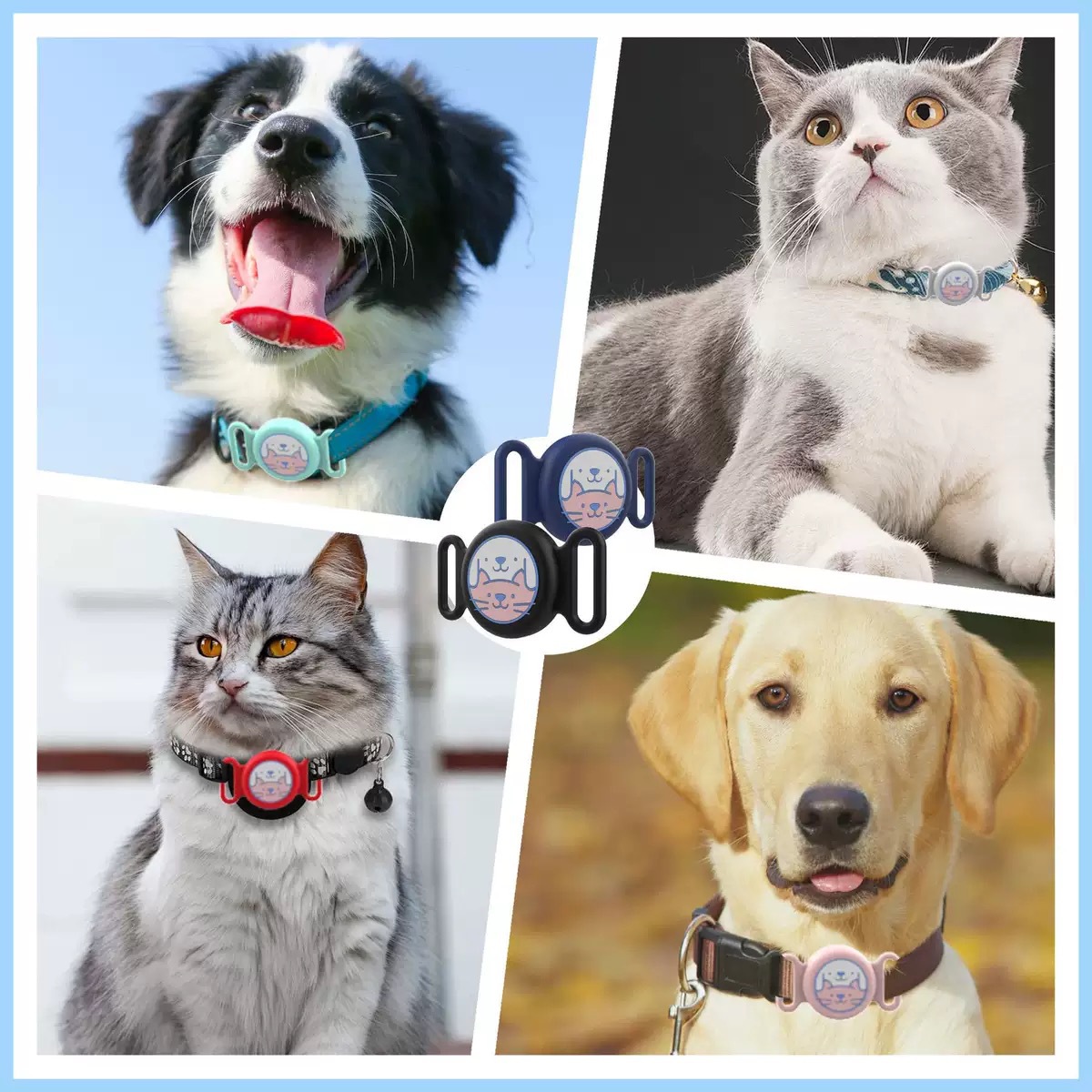 微信图片_20250424004807