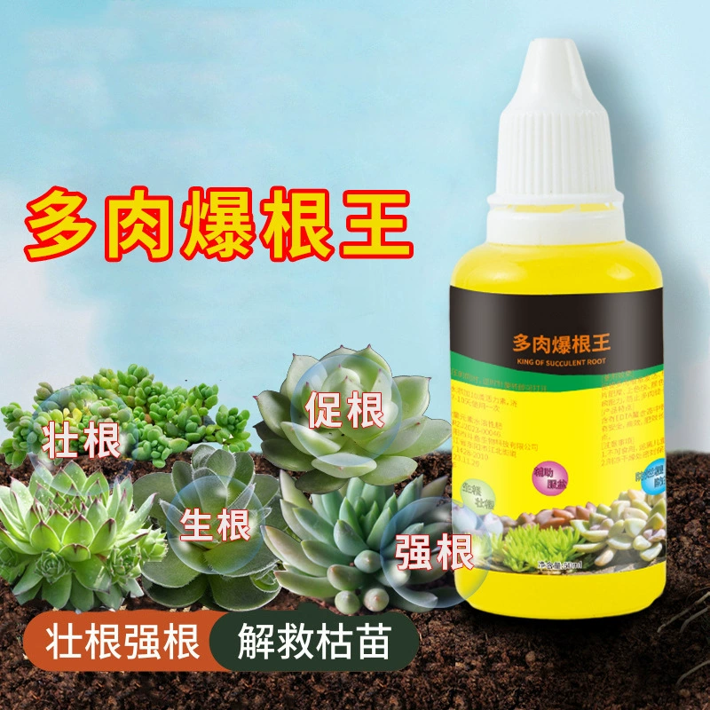 Производители оптовой торговли мясом