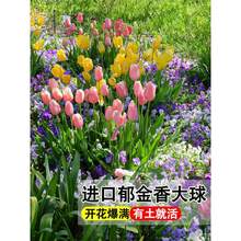 ˮ���������M�ڷN�򻨻�5�����҃�����������ˮ�B�ļ��N��ֲ��