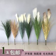 北欧粉红色仿真芦苇草干花盆栽摆件客厅装饰假狗尾草落地橱窗摆设