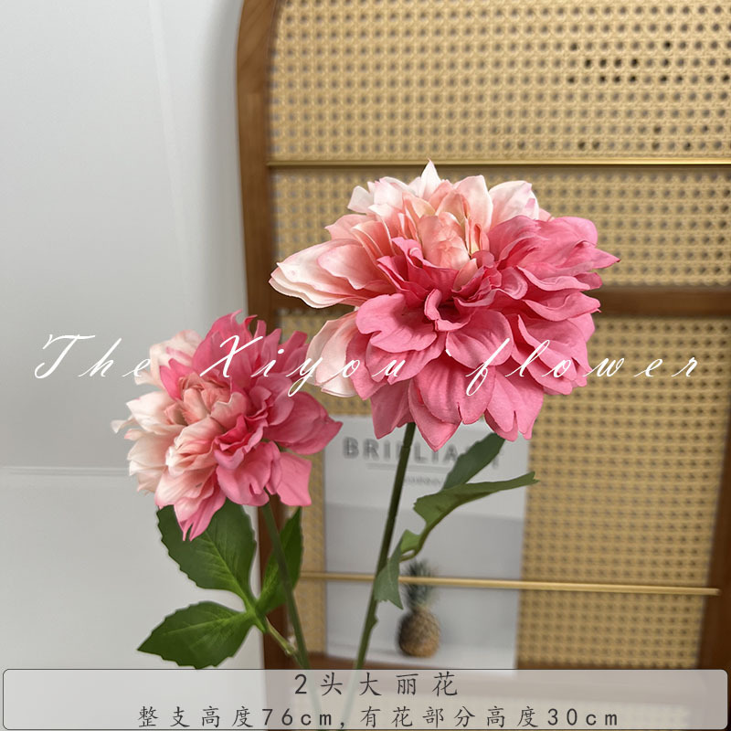 2頭の大麗花莫奈花園風喫茶店のセットです。|undefined
