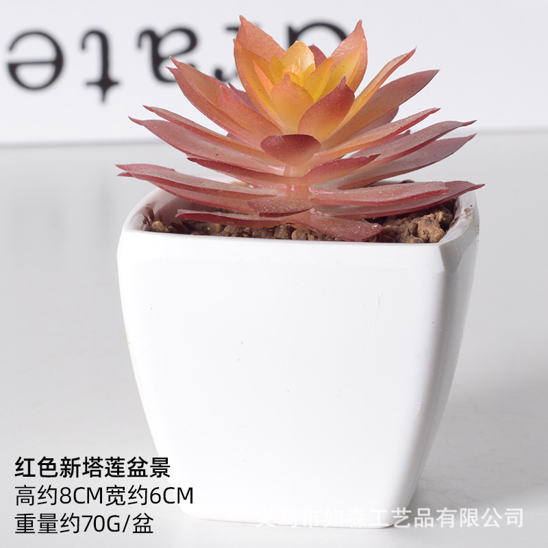 Simulación de plástico carnoso bonsai flor falsa combinación oficina interior escritorio plantas verdes pequeños adornos plantas artificiales al por mayor image 23