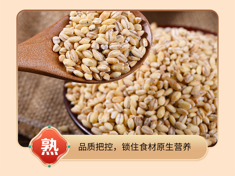 Hulled Barley Kernels Da Mai Ren Hordeum vulgare Roasted Peeled Grain for Soy Milk and Grinding 25kg Bulk Bag in use