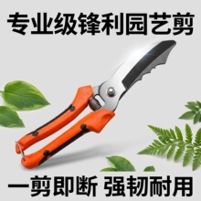 ���r�ô���A�[���ü����ɝ���U����횹��߼������^���[��������