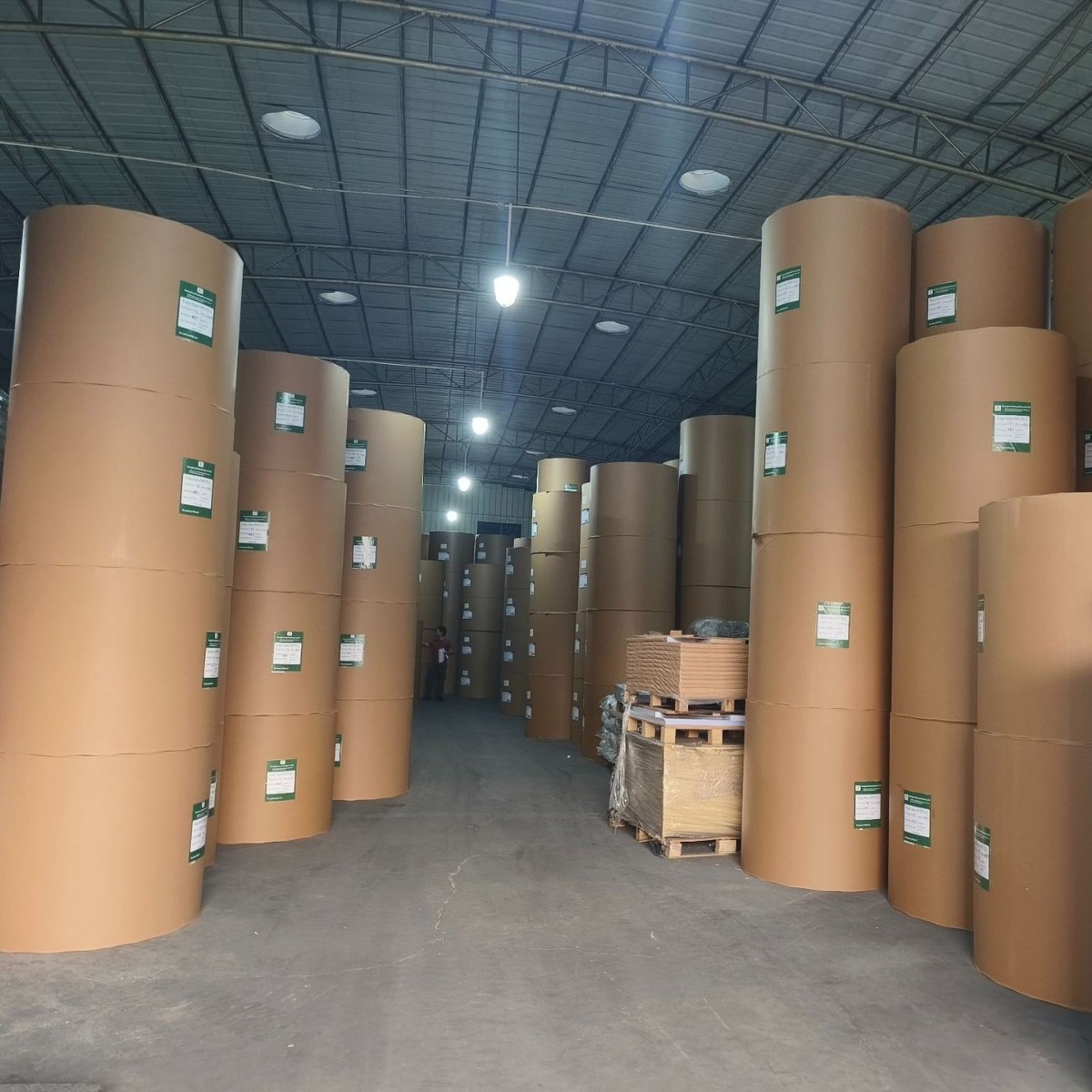 2025-06-13 11:15:27.jpg